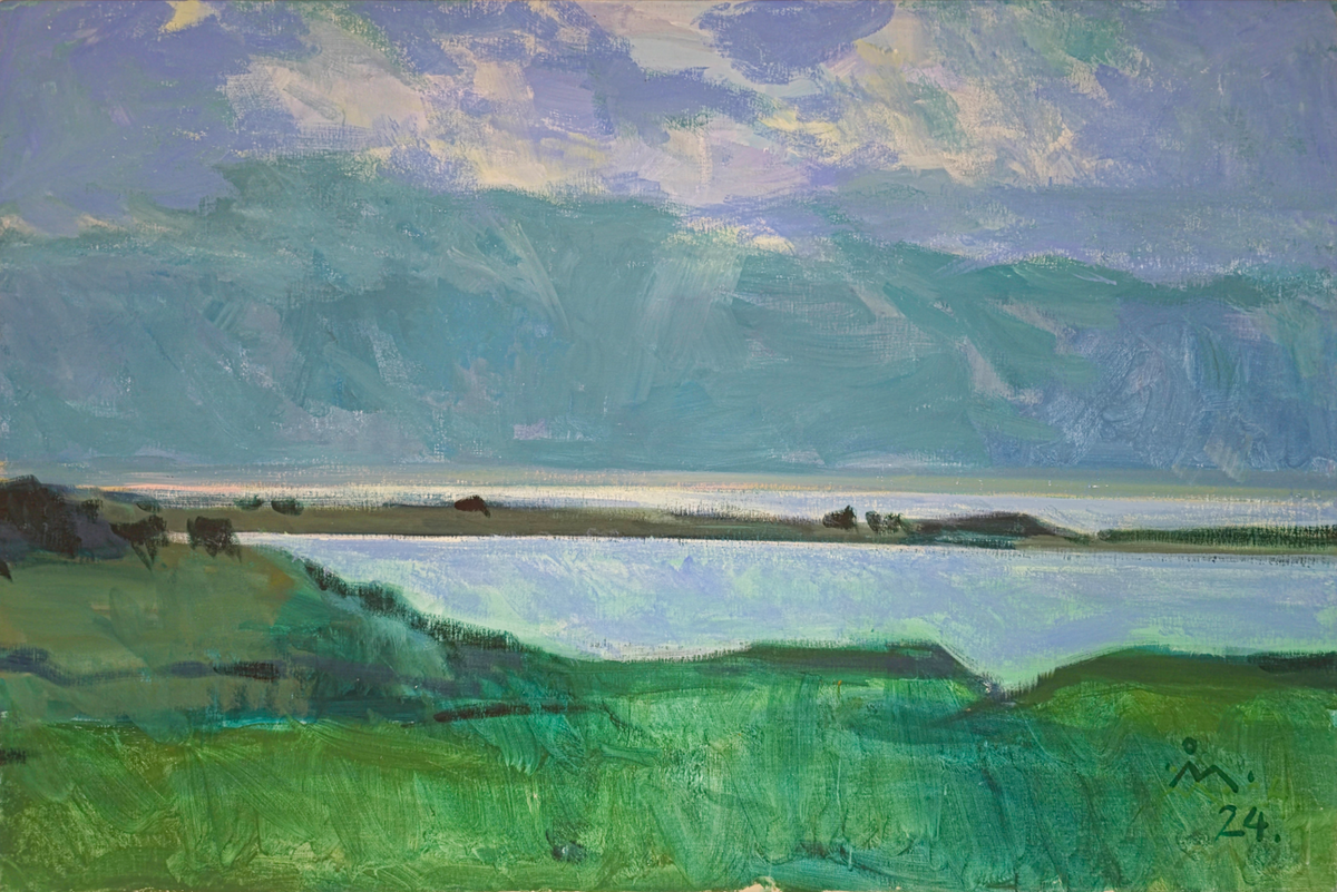 From the Hirsholmene islands