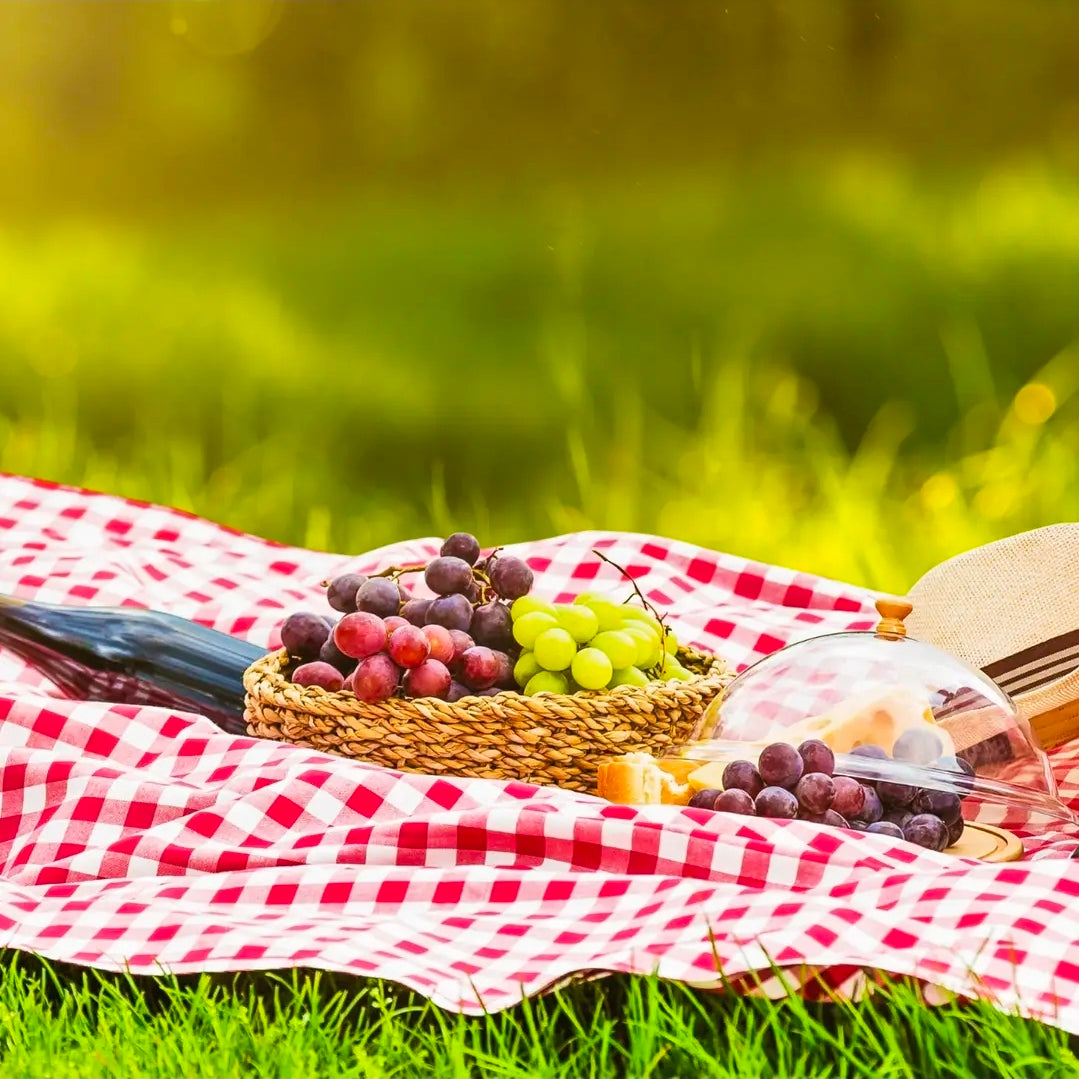Picnic-tæppe | Vandtæt med håndtag